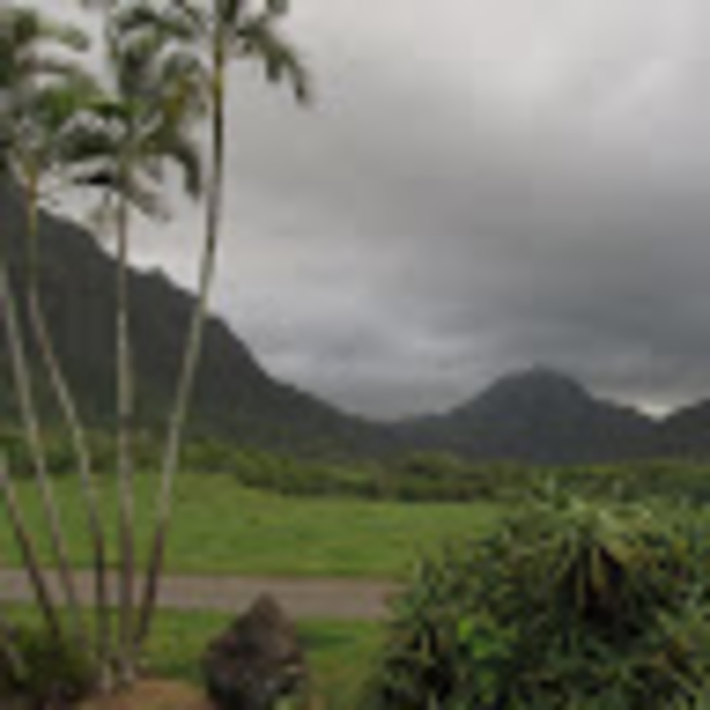 Meet your Posher, Barbie